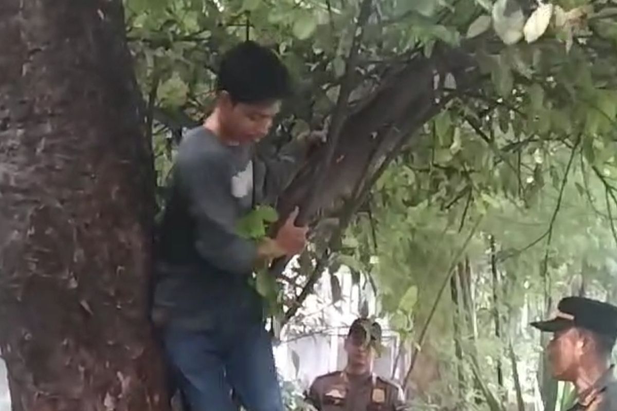 Karim (26), Pemerlu Pelayanan Kesejahteraan Sosial (PPKS) yang bersembunyi di atas pohon saat Satpol PP melakukan giat di kawasan Kebayoran Lama, Jakarta Selatan, sekitar pukul 09.30 WIB, Kamis (4/5/2023). 