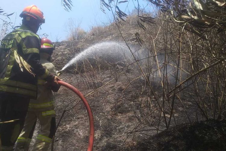 Sejumlah petugas pemadam kebakaran tengah memadamkan kebakaran hutan dan lahan yang terjadi di wilayah Kabupaten Bandung, pada Minggu (24/9/2023)