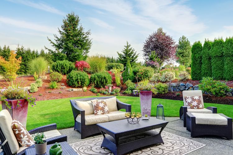 Ilustrasi taman belakang rumah, Ilustrasi furnitur outdoor.
