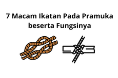 7 Macam Ikatan Pada Pramuka beserta Fungsinya