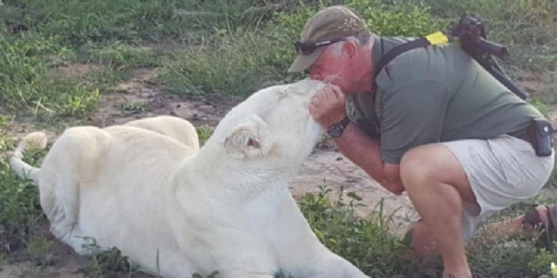 West Mathewson bersama dengan salah satu singa putih yang dibesarkannya. Pria 68 tahun itu tewas diterkam oleh singa putih itu.