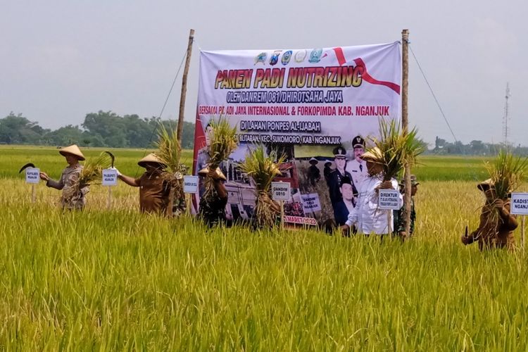 Caption: Plt Bupati Nganjuk Marhaen Djumadi bersama stakeholder terkait melangsungkan panen raya padi Nutrizinc di Desa Blitaran, Kecamatan Sukomoro, Kabupaten Nganjuk, Jawa Timur, Selasa (21/3/2023)