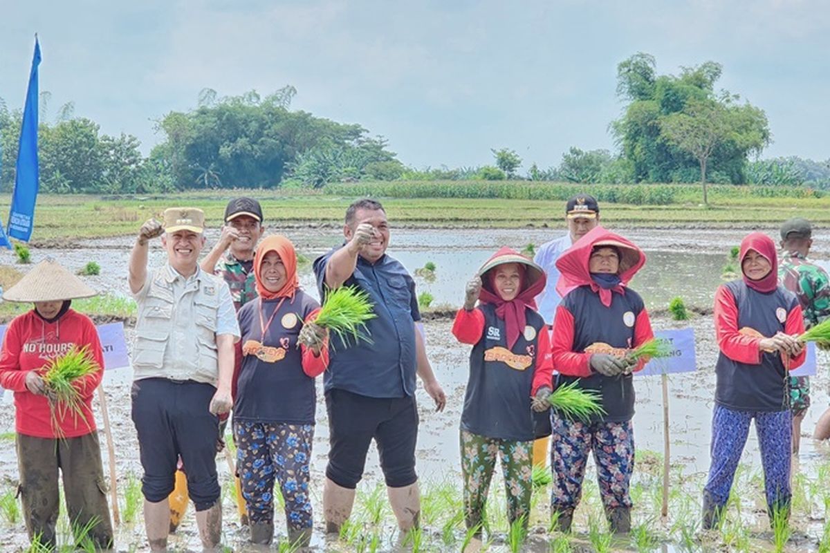 Direktur Jenderal perkebunan (Dirjenbun) Andi Nur Alam Syah melakukan Kegiatan Pompanisasi, Olah Tanah, dan Tanam Padi sebagai bagian dari upaya khusus Perluasan Areal Tanam (PAT) untuk meningkatkan Produksi Padi Nasional di Nganjuk, Jawa Timur (Jatim), Rabu (24/4/2024).
