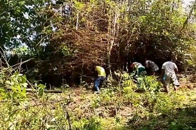 Warga Berburu Ular Disekitar Rumah Sarjiyem (51) Di Dusun Trengguno Kidul, Desa Sidorejo, Kecamatan Ponjong, Gunungkidul, Yogyakarta Kamis (10/1/2019)