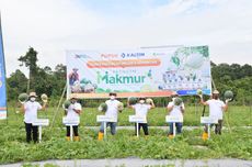 Pupuk Kaltim Bantu Petani Kembangkan Usaha Pertanian lewat Program Ini