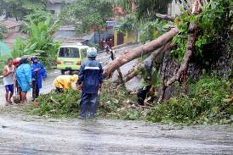 Cuaca buruk disertai hujan deras yang mengguyur Kota Ambon, Rabu (24/7/2013) menyebabkan sejumlah pohon di kawasan Kebun Cengkeh dan Galunggung Kecamatan Sirimau tumbang. 