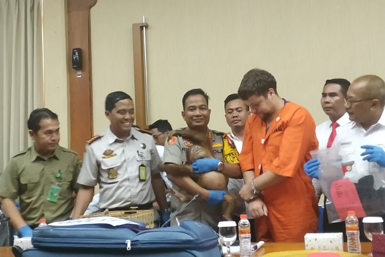 Foto Berusaha Selundupkan Orangutan, Warga Rusia (baju orange) Ditetapkan Sebagai Tersangka