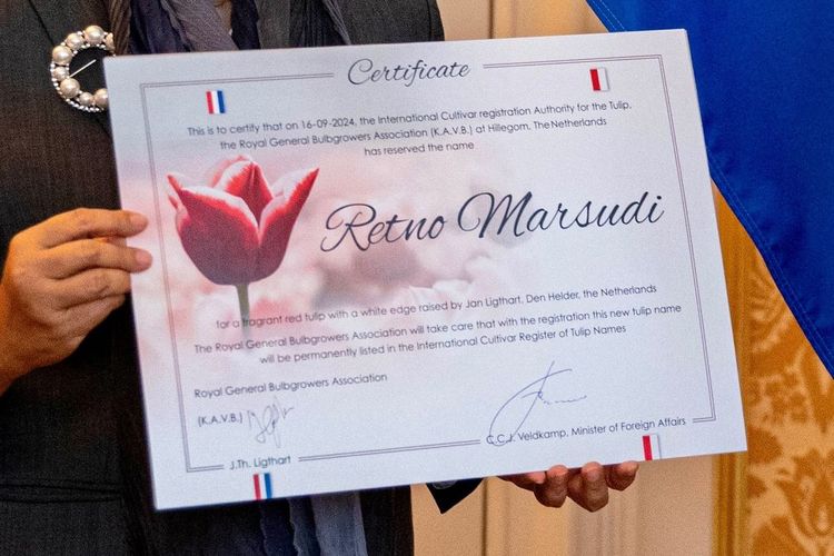 Retno Marsudi Jadi Nama Bunga Tulip di Belanda, Kemenlu: 