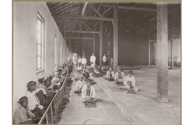 Foto pekerja di gudang penyortiran perusahaan tembakau Soemberbahroe, Djatiroto, Jember yang diambil tahun 1920