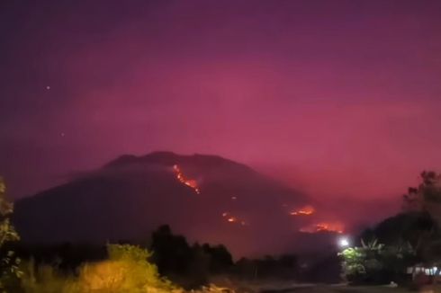 Kawasan Hutan dan Lahan di Lereng Gunung Agung yang Terbakar Capai 500 Hektar, Masih Ada 7 Titik Api 