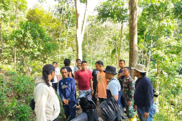 Kodim Ungkap Ladang Ganja di Perkebunan di Agam, Dua Petani Diamankan 
