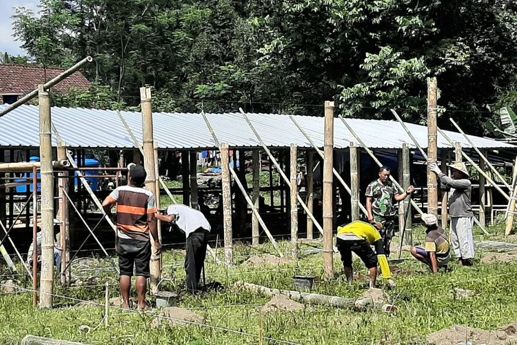 Proses penyelesaian tempat pengungsian ternak di lapangan sebelah Timur Barak Pengungsian Glagaharjo, Cangkringan, Sleman.