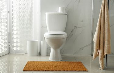 4 Cara Mudah Mengatasi Wc Mampet Halaman All - Kompas.com