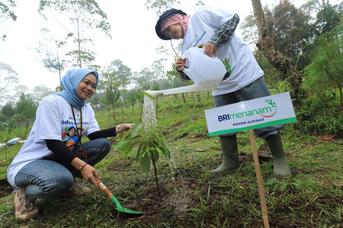Salah satu program kerja BRI di bidang lingkungan, yakni BRI Menanam, turut mendorong peningkatan skor ESG oleh S&P Global.