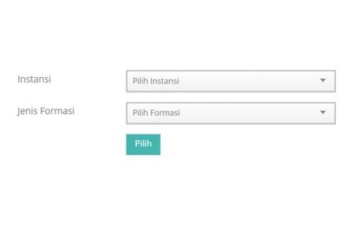 Pelamar CPNS 2019 Bisa Daftar Lintas Daerah, Berikut Tata Caranya