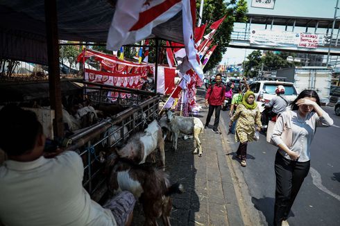 Anies dan Diskresi Bagi Pedagang Hewan Kurban di Trotoar...