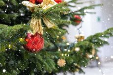 Asal-usul Tradisi Pohon Natal, Kapan Pertama Kali Muncul?