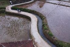 Antisipasi Kemarau Panjang Akibat El Nino, Kementan Siapkan Berbagai Strategi, dari RJIT hingga AUTP