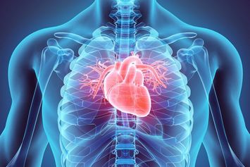 Ada Kardiomegali dan Asam Lambung, Bagaimana agar Tidak Henti Jantung?