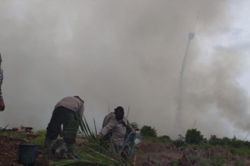 Karhutla Riau Terus Meluas, Lahan Terbakar Mencapai 3.517 Hektar