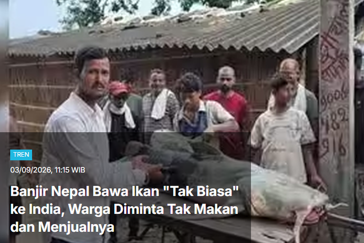 [POPULER TREN] Ikan 