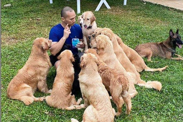 Presenter Bima Aryo bersama puluhan anjingnya.