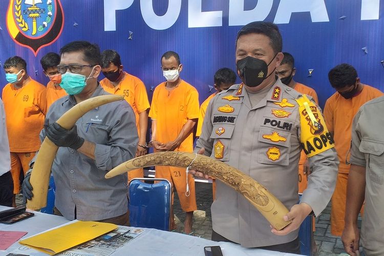 Riau Regional Police display the elephant tusks seized in a bust during a press conference in the provincial capital Pekanbaru [12/11/2020]