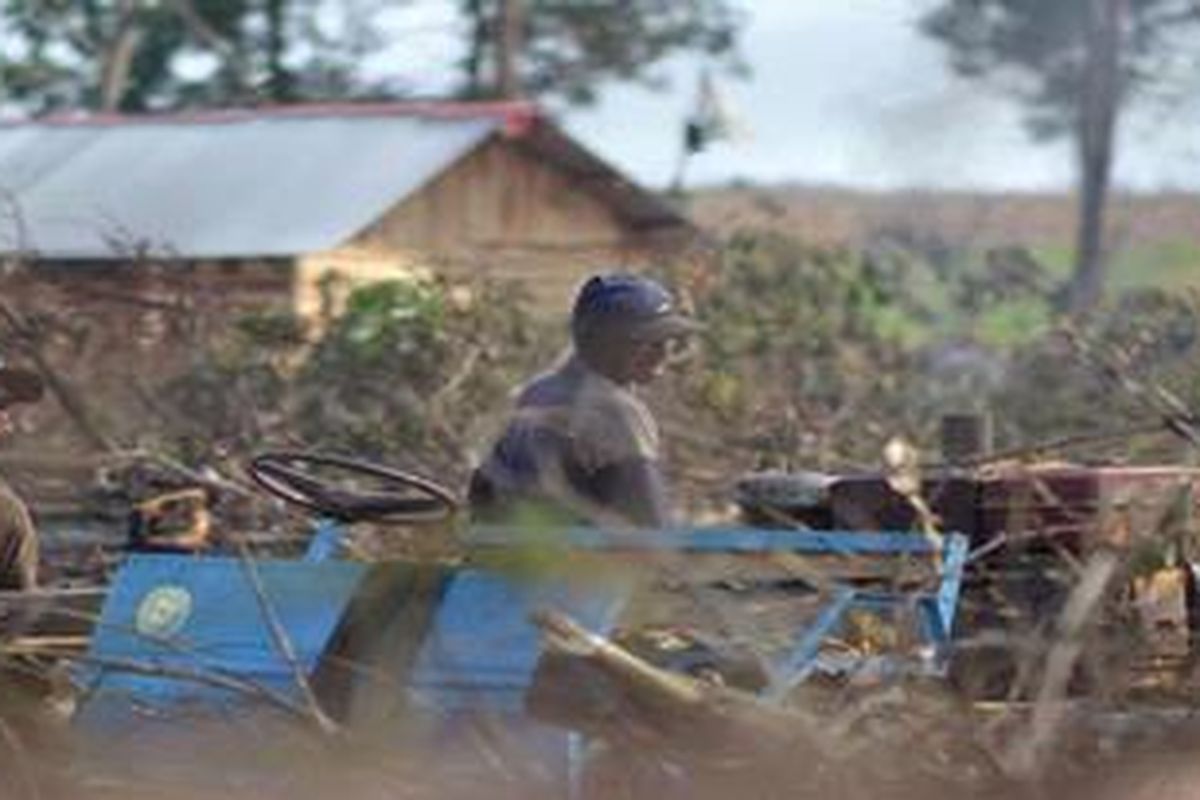 Sejumlah perambah tengah memotong kayu-kayu albasia milik PT Silva Inhutani Lampung dengan alat mesin khusus di dalam kawasan hutan Register 45 di Brabasan, Kabupaten Mesuji, Lampung, Sabtu (5/5/2012). Praktik industri kayu ilegal ini muncul seiring kian banyaknya perambah hutan yang masuk ke kawasan hutan negara ini.