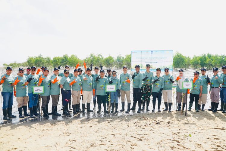 Relawan menanam ribuan mangrove di pesisir Penyak, Bangka Tengah, Jumat (1/8/2025).