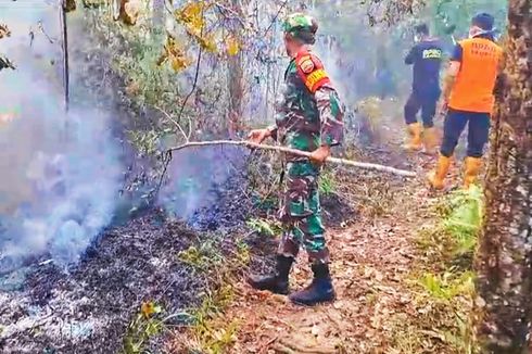 Kebakaran Landa 7 Hektare Hutan dan Lahan di Kampar, Riau 