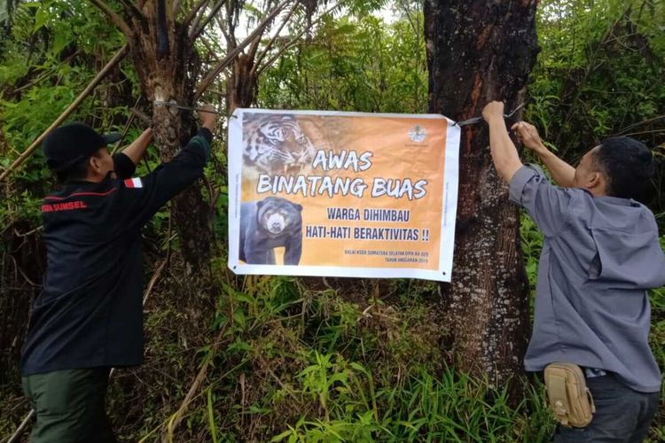 Pemasangan spanduk imbauan di lokasi jalur harimau untuk mengantisipasi jatuhnya korban lagi. Pemasangan itu dilakukan oleh pihak BKSDA Sumatera Selata.