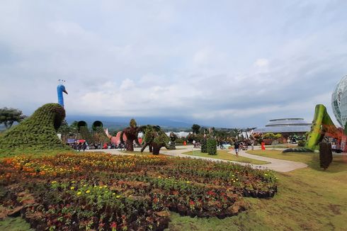 Rekomendasi 5 Taman Bunga di Batu Malang, Wisata Bareng Pasangan
