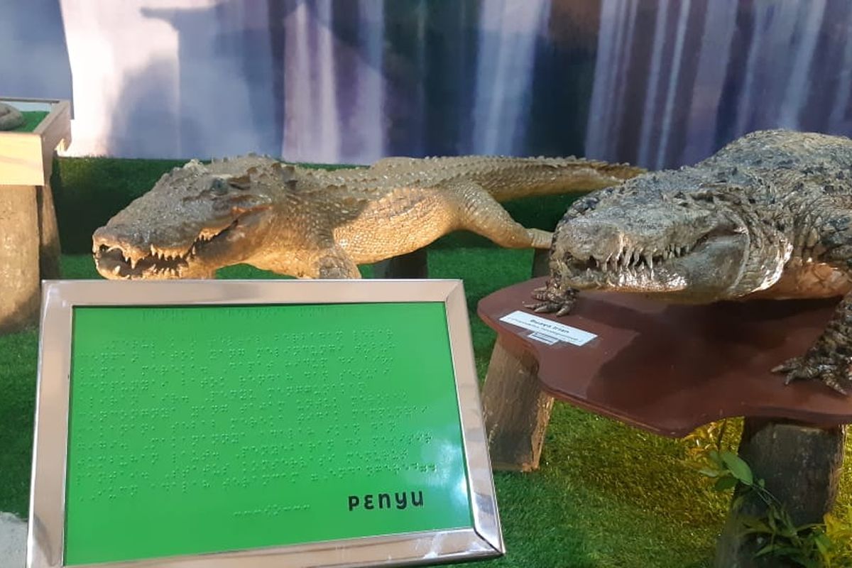 Huruf Braille yang menjelaskan Komodo di stan Ragunan yang ada di Flona 2019