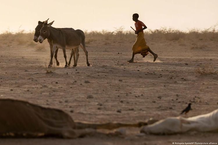 Kemarau ekstrem di Tanduk Afrika.