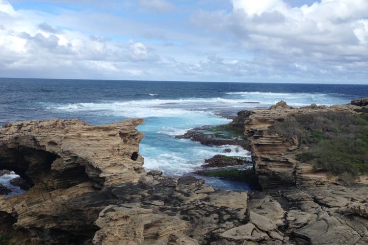 Spot untuk melihat migrasi paus di area West End,  pulau Rottnest, Australia Barat, Senin (11/9/2017)