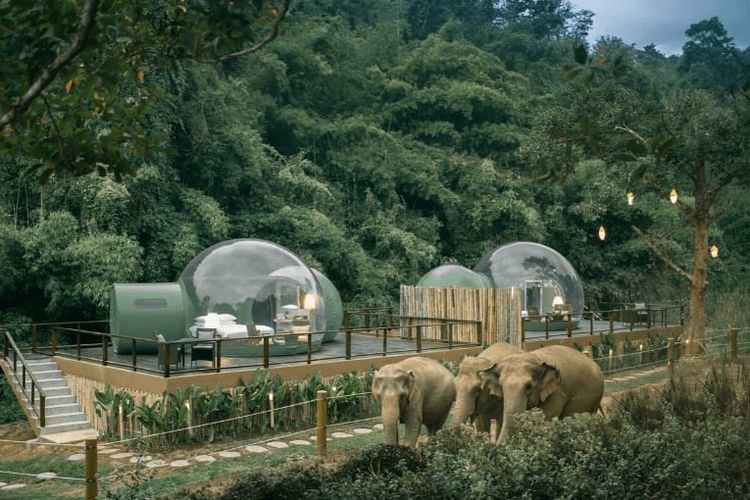 Anantara Golden Triangle Elephant Camp & Resort