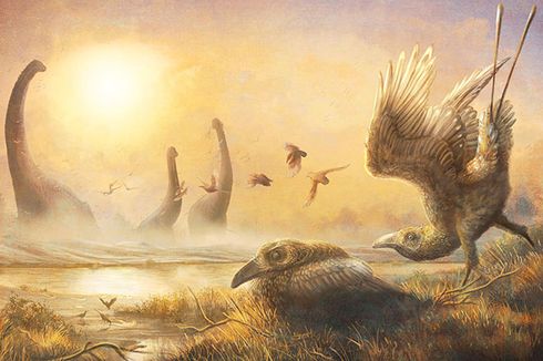Langka, Ahli Temukan Burung Era Dinosaurus dengan Paruh Mirip Sabit