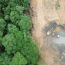 Kritik Twit Menteri LHK soal Deforestasi, Walhi: Kok Malah Pro Pembangunan Skala Besar?