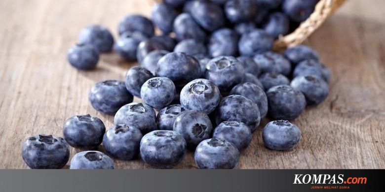 pengobatan kanker serviks Peneliti Ungkap Blueberry Dapat Bantu Pengobatan Kanker 