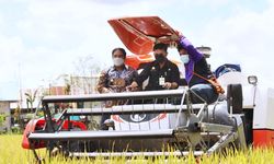 Politisi Nasdem Nilai Mentan SYL Bawa Perubahan Besar pada Pertanian RI