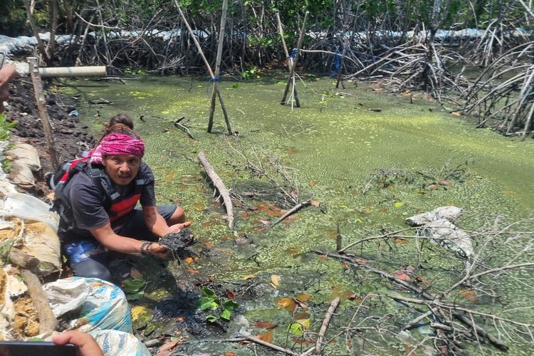 Rombongan warga Karimunjawa dan komunitas lingkungan menengok kerusakan laut akibat aktivitas tambak di Karimunjawa, Selasa (19/9/2023).
