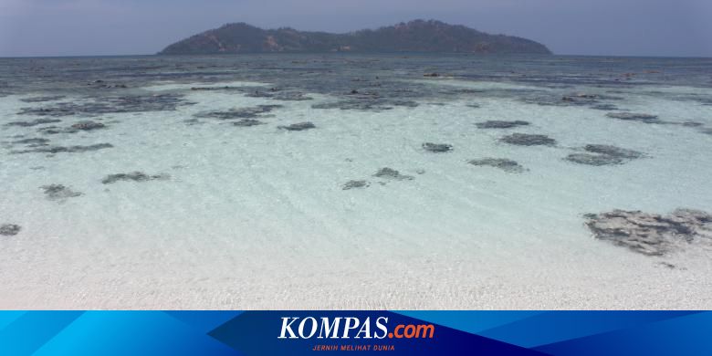 Laut Sulawesi Perpaduan Garis Wallace Dan Arlindo Halaman All Kompas Com