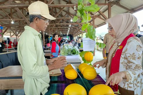 Hingga Kini, Ada 650 UMKM yang Telah Dibina Otorita IKN