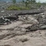 Banjir Lahar Dingin Semeru Menerjang, Warga Cium Bau Belerang yang Menyengat