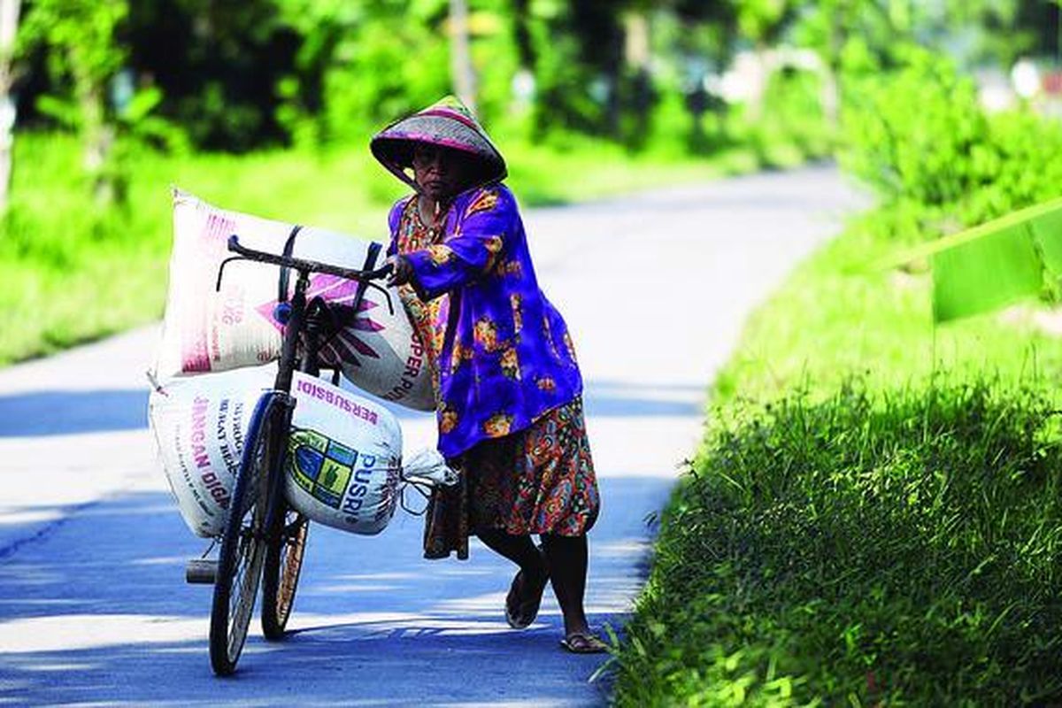 Perempuan di pedesaan secara tradisi mewarisi kearifan lokal, seperti Siti di Desa Bog osari, Kecamatan Guntur, Kabupaten Demak, Jawa Tengah, ini.