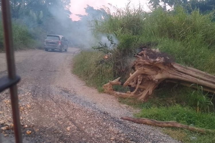Polisi Selidiki Dugaan Pembakaran Lahan di Nabire Papua Tengah