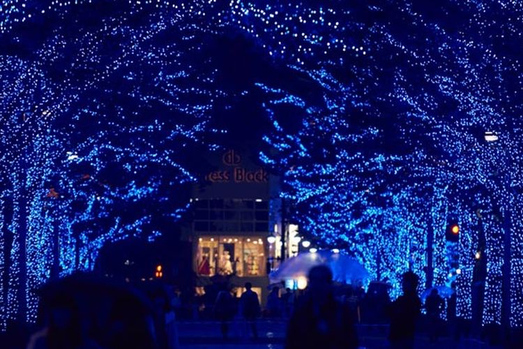 Lampu berwarna biru dipasang di sepanjang jalan taman Shibuya dan deretan pohon Keyaki di taman Yoyogi, Tokyo, Jepang. Event iluminasi ini digelar mulai 22-31 Desember 2017.