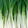 4 Jenis Daun Bawang dan Karakter Rasanya