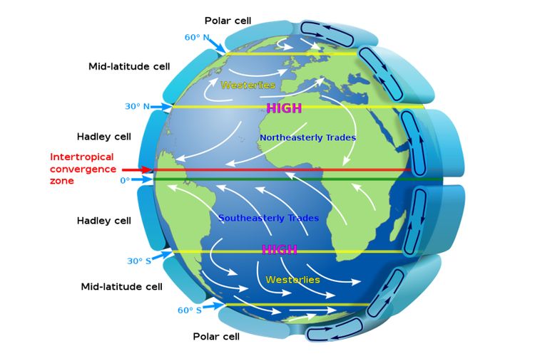 Sel Ferrel atau sel mid-latitude adalah salah satu dari tiga jenis sel sirkulasi atmosfer bumi. 