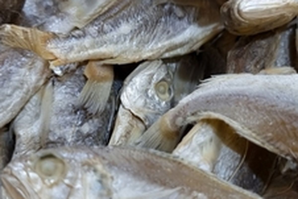 Ilustrasi ikan asin yang bisa diolah menjadi pupuk